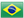 portugués
